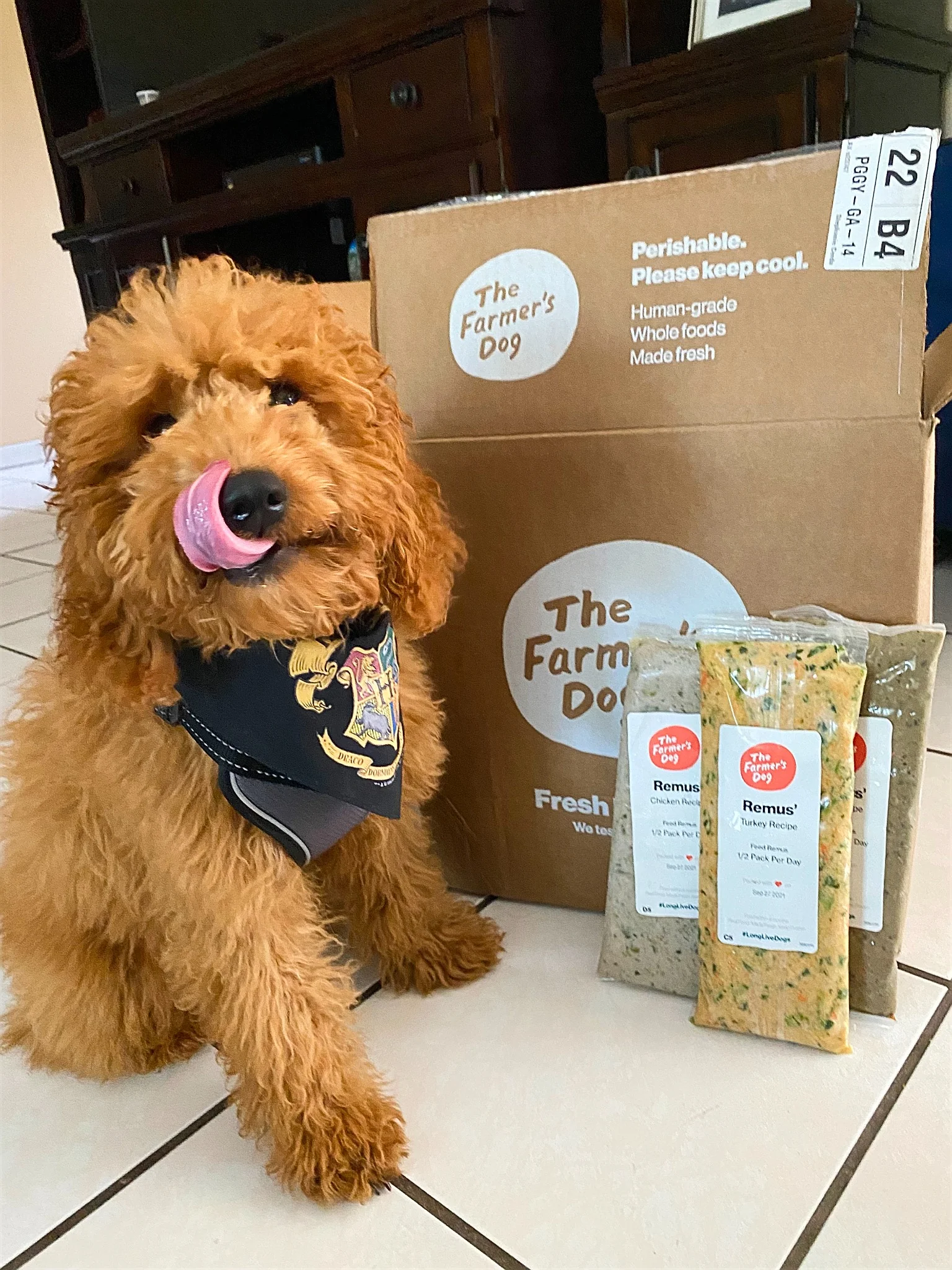 Static ad example: The Farmers Dog unboxing UGC ad with personalized packs